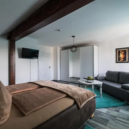 Finke 1 アパート フリードリヒスハーフェン