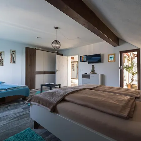 Finke 1 フリードリヒスハーフェン